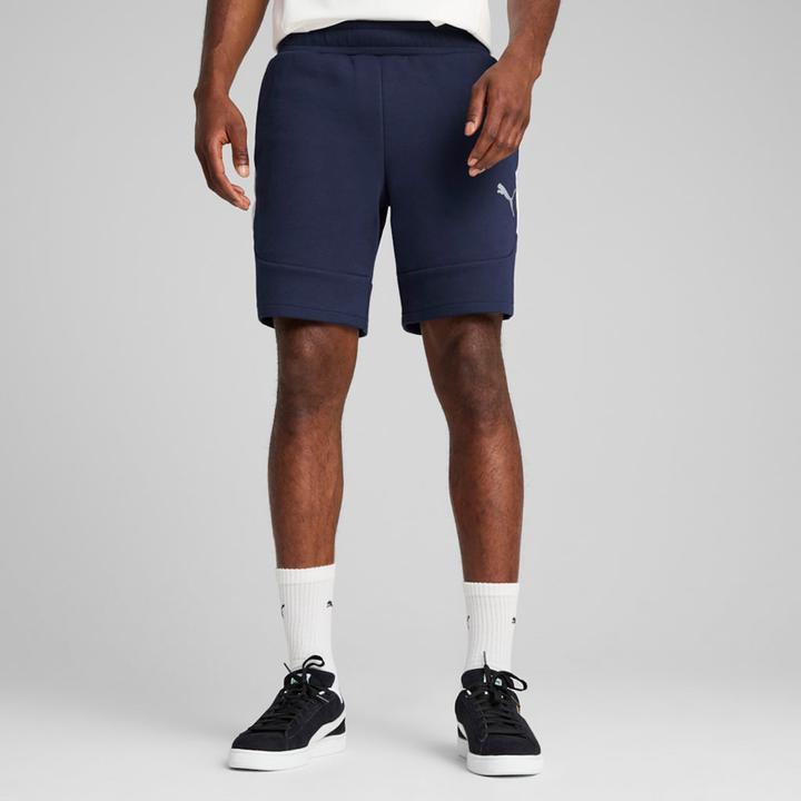 Image du produit Puma Short teamEVOSTRIPE (M)
