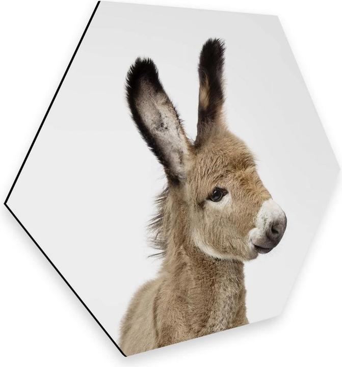 Immagine prodotto Trenddeko Asino bambino (25 x 22 cm)