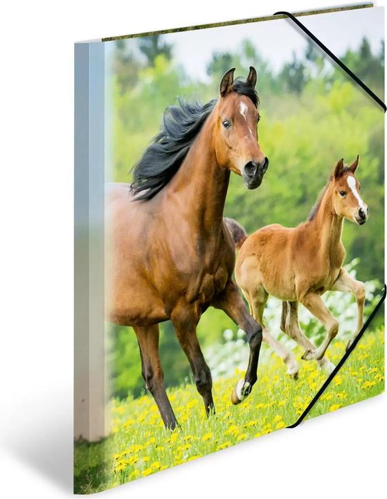 Produktbild HERMA Sammelmappe A4 Motiv (A4, 1x)