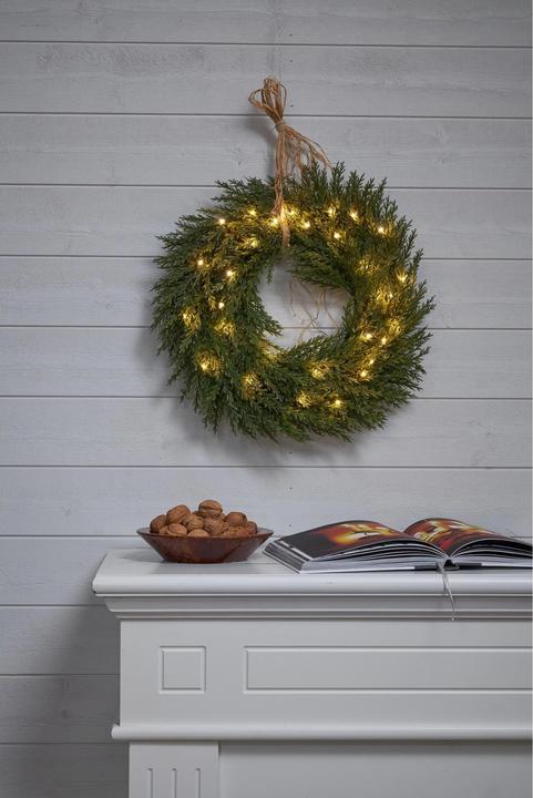 Produktbild Star Trading Thuja