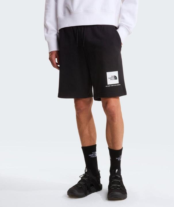 Image du produit North Face M'S Box Nse Light Regular Shorts (S)