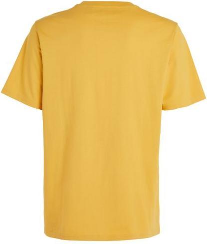 Immagine prodotto O'Neill Maglietta Della Future Surf Society (L)