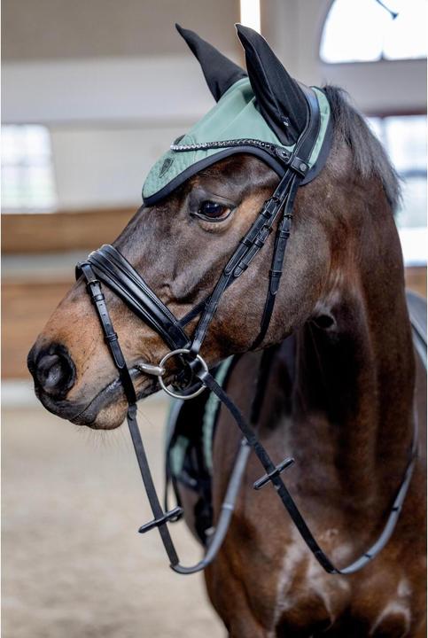 Actual product image Catago FIR-Tech Grand