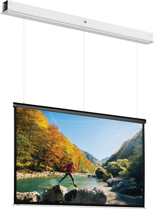 Actual product image Projecta DescenderPro (103.54", 4:3)