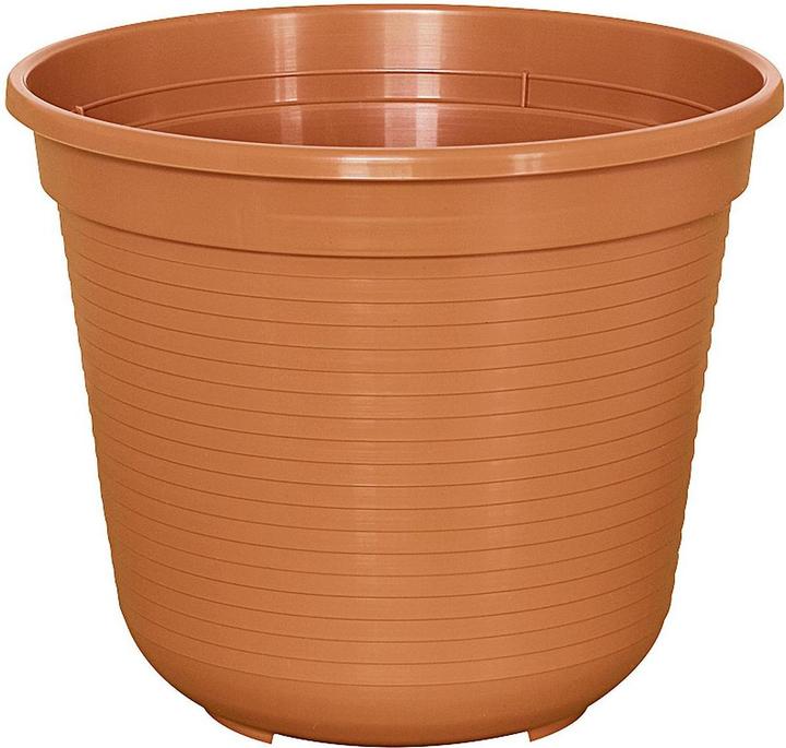 Immagine prodotto Geli Standard (18 cm)