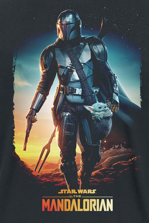 Produktbild Star Wars The Mandalorian - Through the Galaxy (L)