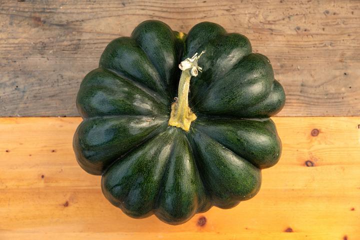 Produktbild Zollinger Bio Kürbis, Musquée de Provence (Gemüsesamen)