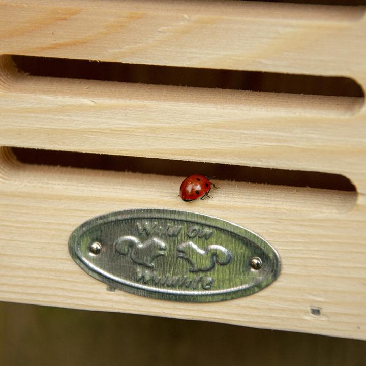 Immagine prodotto Esschert Design Casa delle coccinelle, rosso (Coccinelle)