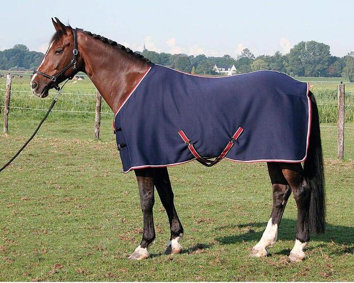 Produktbild Harry's Horse Kühlendes Pferdehemd aus Jersey (205 cm)
