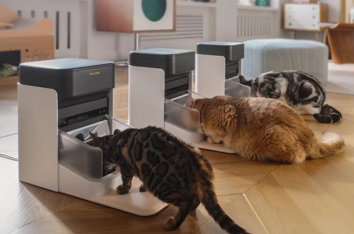 Immagine prodotto Petlibro Un RFID (3 l)