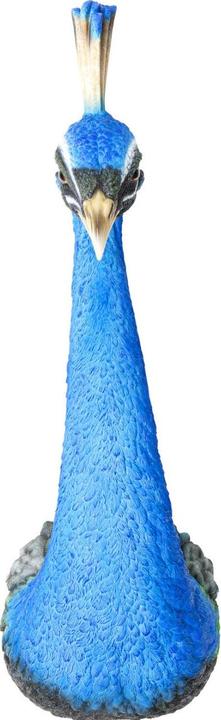 Kare Design Wandschmuck Peacock (22 x 68 cm)