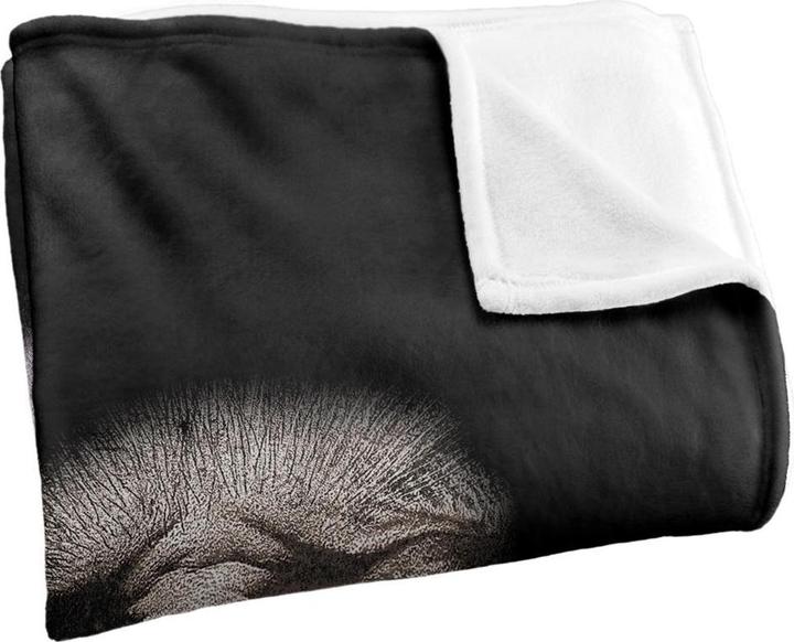 Produktbild Decke Gruppenfoto (152 x 127 cm)