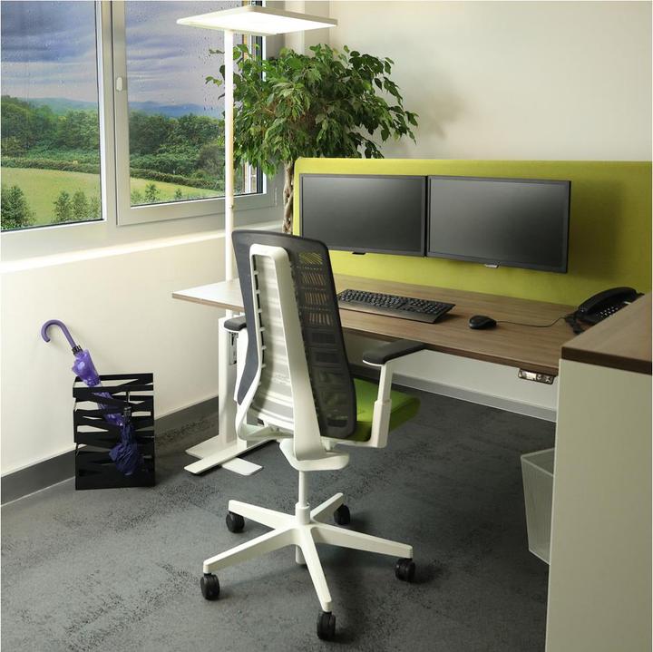 Actual product image Dönges Maxi (14 x 46 cm)