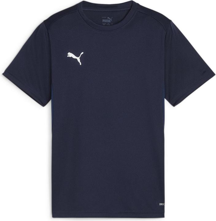 pumanavypumawhitepersianblue