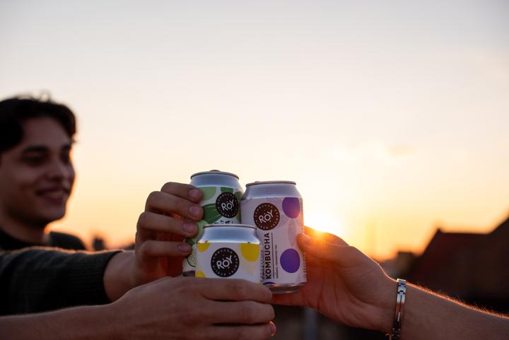 Actual product image Roy Kombucha Ginger (24 x 33 cl)