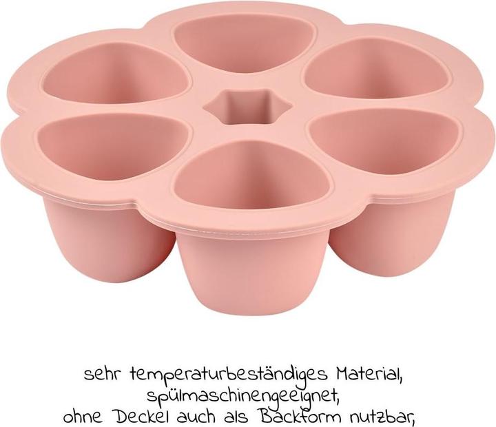 Actual product image Beaba Multiportions
