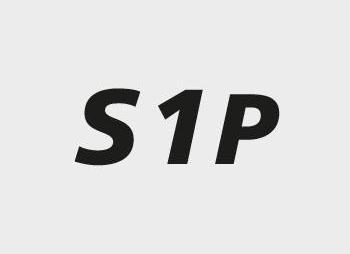 Produktbild Baak Sicherheitssandale S1P ESD René 2 (S1P, 42)