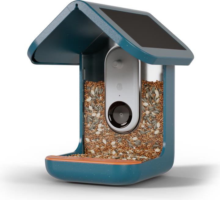 Image du produit Bird Buddy Distributeur de nourriture