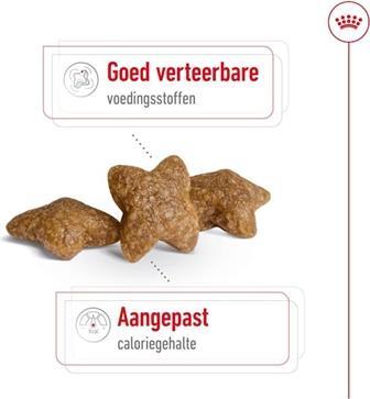 Produktbild Royal Canin Mini Adult - 4 Kg (Adult, 4000 g)