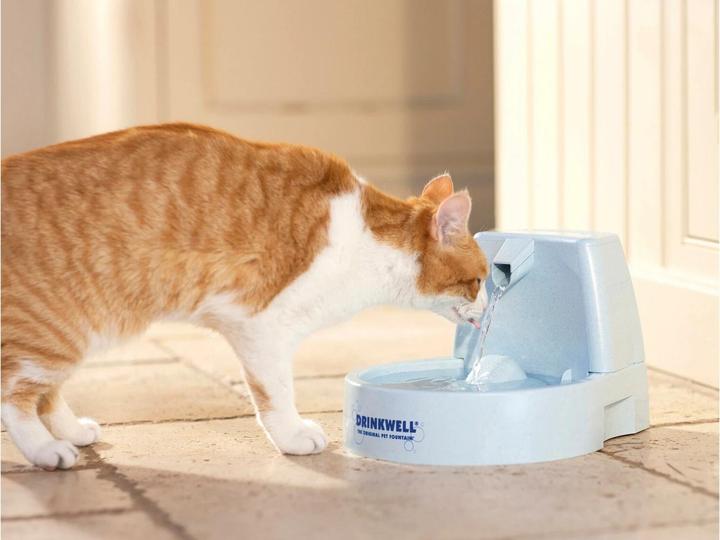 Immagine prodotto Drinkwell Fontana da bere originale PetSafe 1,5l (1.50 l)