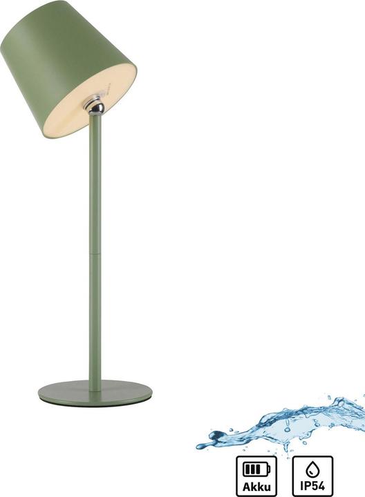 Actual product image Just Light LED bottle light (220 lm)