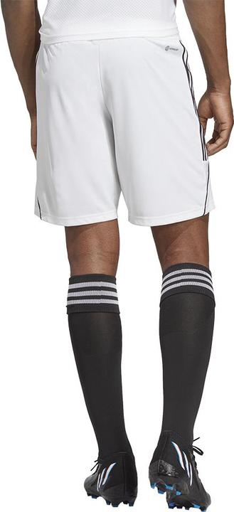 Actual product image adidas Tiro 23 training shorts men (XS)