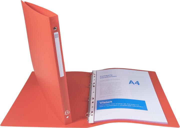 Immagine prodotto Exacompta Raccoglitori ad anelli (A4, 20 mm, 1 pz.)