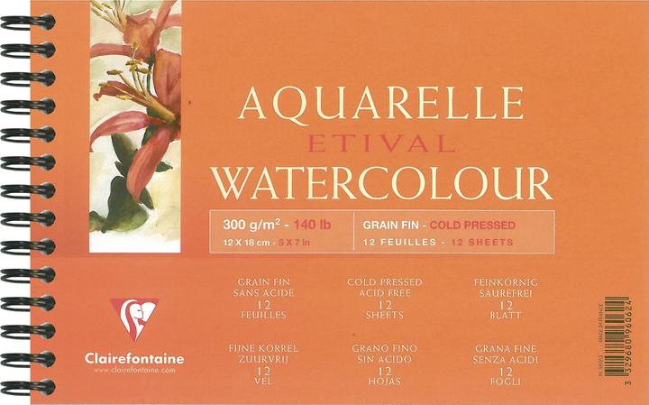Image du produit Clairefontaine Techniques humides (121 g/m², 240 x)