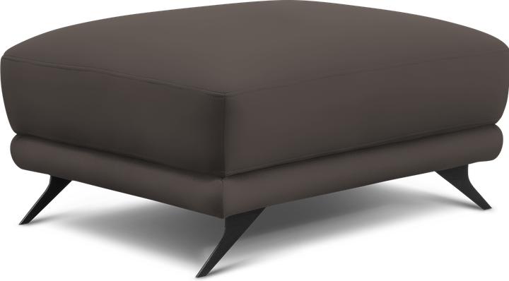 Dark Brown Softis 66
