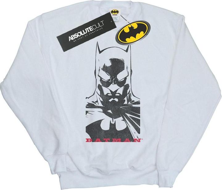 Produktbild Batman Solid Stare Sweatshirt Jungen (140, 146)
