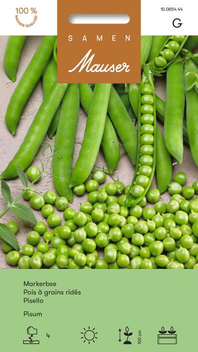Produktbild Samen Mauser Mark-Erbse Pisum Profiline (Gemüsesamen)
