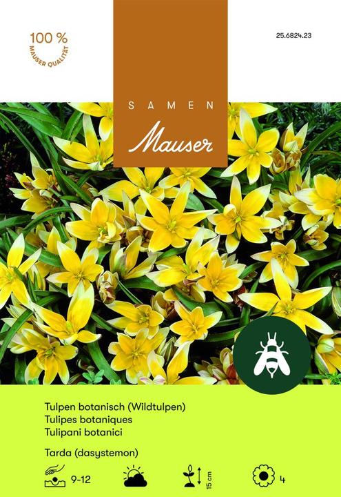 Produktbild Samen Mauser dasystemon (Blumenzwiebeln)