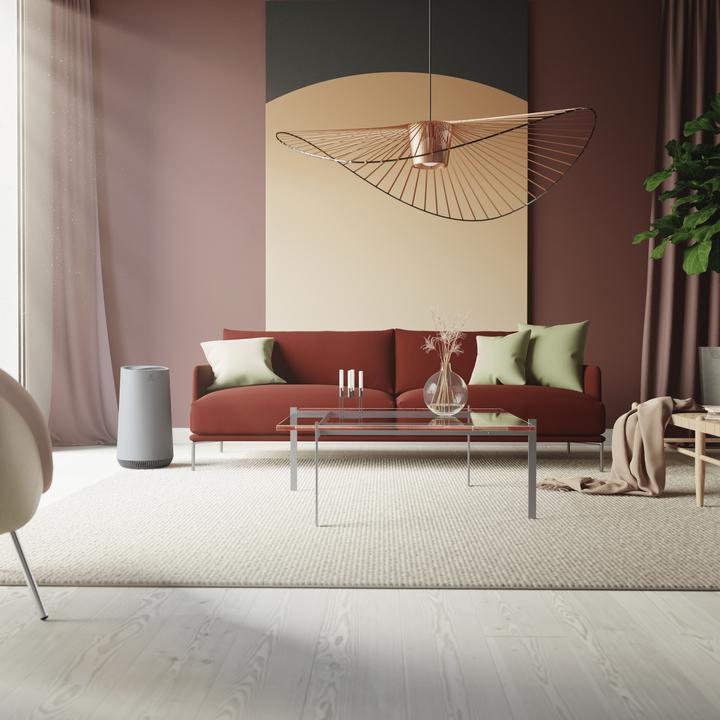 Produktbild Electrolux BREEZE Complete air filter (1x)