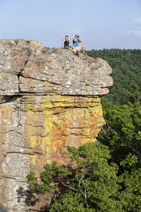 Actual product image Bushnell Powerview binoculars 16 x 32 (16 x, 32 mm)