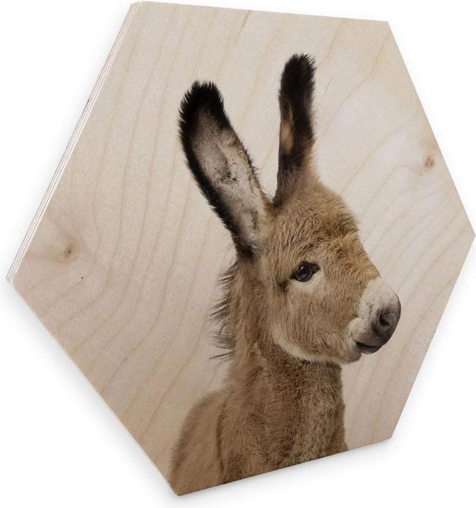 Immagine prodotto Trenddeko Asino bambino (25 x 22 cm)