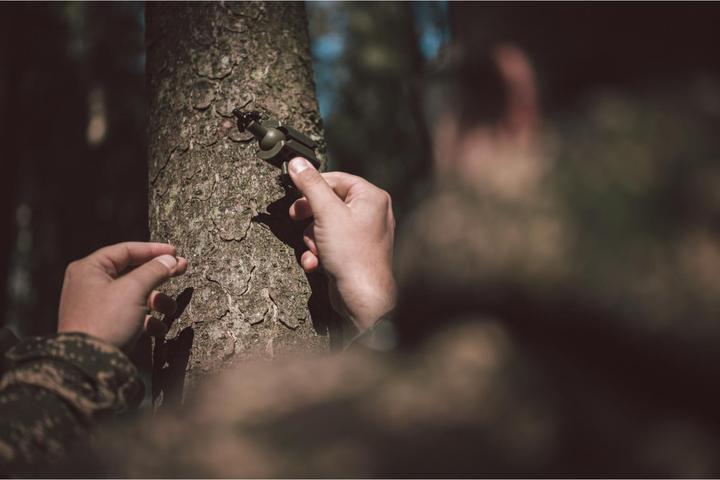 Actual product image Seissiger Tree stand with ball joints