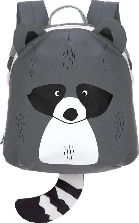 Racoon