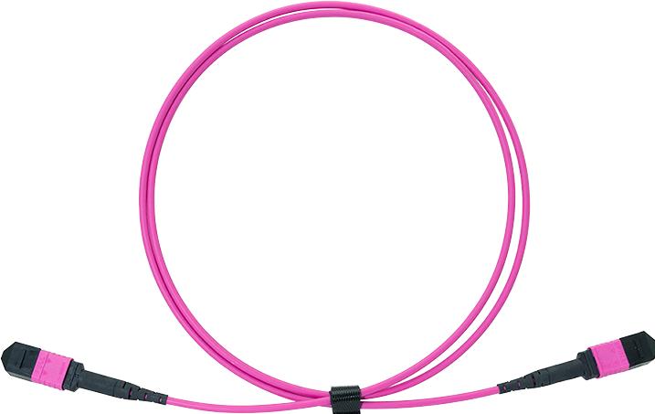 Actual product image LogiLink Prüfen (5 m)