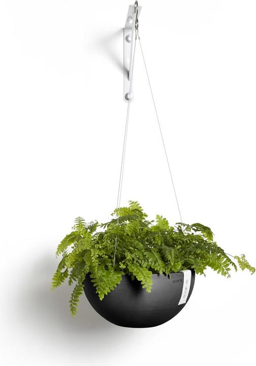 Immagine prodotto Ecopots Hanging Brussels (27 cm)