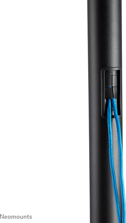 Actual product image Neomounts FL50-540BL1 (70", 50 kg)