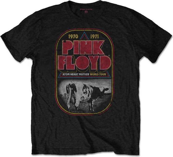 Pink Floyd Ahm Tour