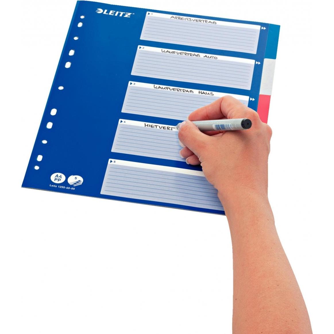 Thumbnail - Leitz, Ordner Zubehör, PP-Register mit blauem Deckblatt, diverse Ausführungen, einzeln