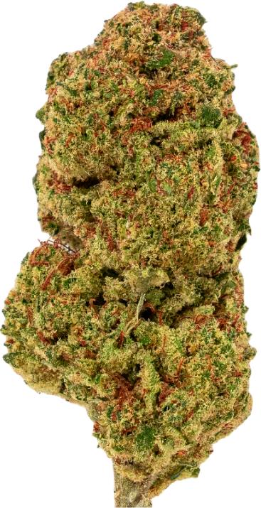 Produktbild Green Passion Maui Wowy (1 g, Indoor)