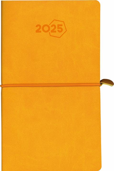Produktbild Aurora Agenda Visuplan Tesoro 2025 2016 1W/2S ass. ML 9x16.5cm (Deutsch, Niederländisch, Französisch, Spanisch, Englisch, Italienisch)