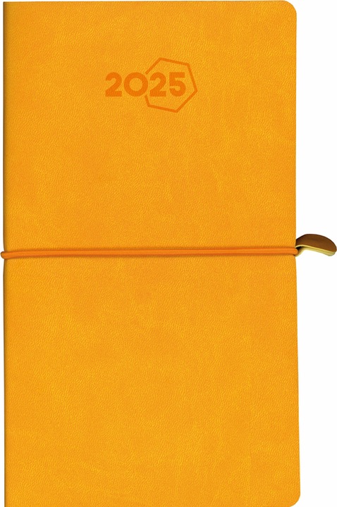 Produktbild Aurora Agenda Visuplan Tesoro 2025 2016 1W/2S ass. ML 9x16.5cm (Deutsch)