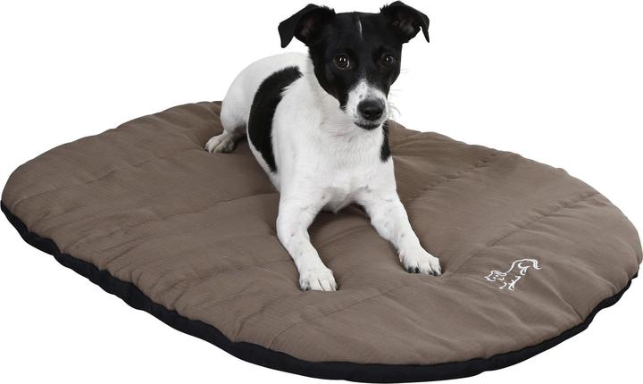 Produktbild Kerbl Traveller Reisekissen (Hund)