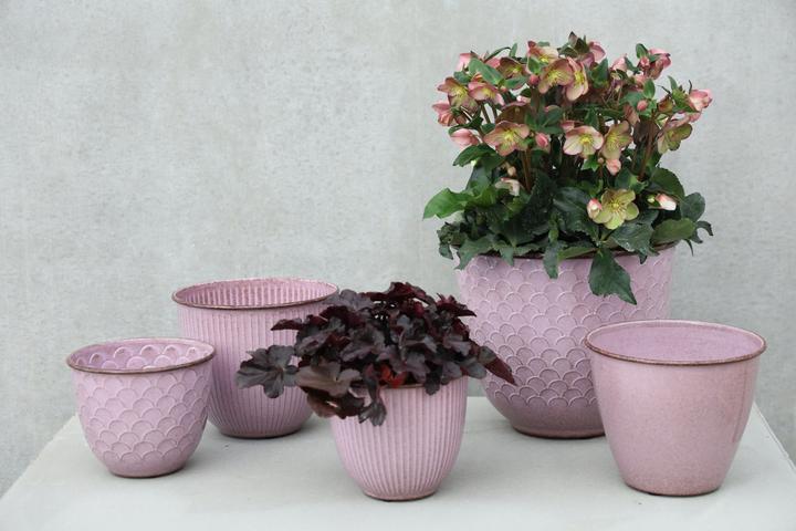 Image du produit Jaco Steel Surat (22 x 19 cm)