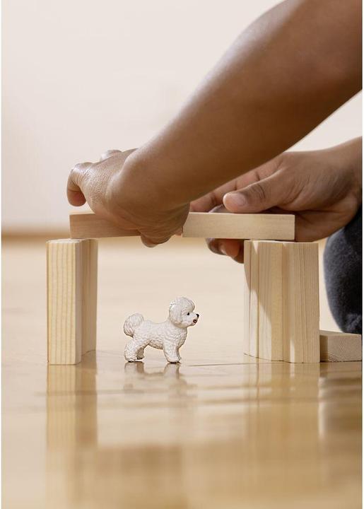 Immagine prodotto Schleich Bichon Frisé