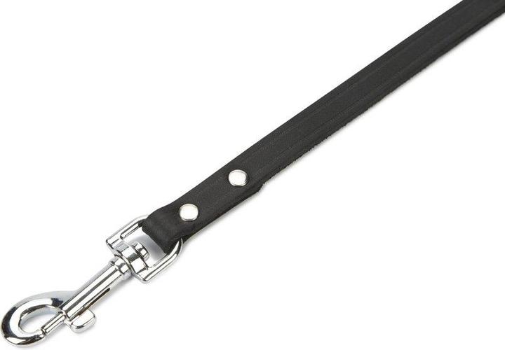 Actual product image Beeztees BZ LEATHER LEASH BLACK 165X12 (Dog, Dog sport)