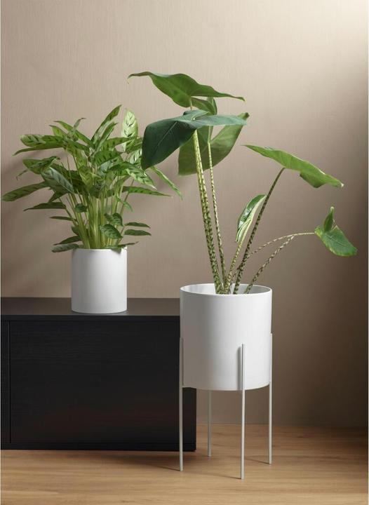 Produktbild ASA Selection weiss (14 cm)